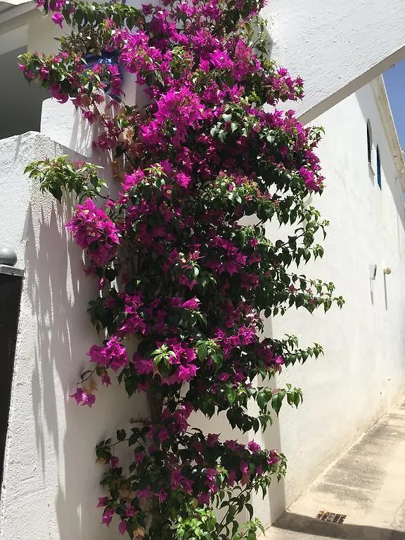 Holiday home Playmar Hotel Maspalomas  Spain